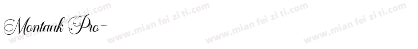 Montauk Pro字体转换